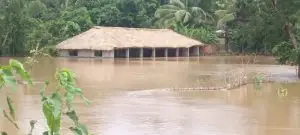 Odisha: Five districts in flood grip
