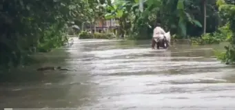 PM Modi dials Assam CM to review flood situation, assures Centre's support