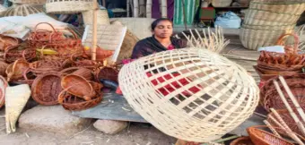 विश्व बांस दिवस: भारत की हरी संपदा और भविष्य का संसाधन