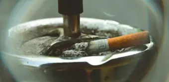 Passive Smoking Health Risks: ભારતમાં 44.4 કરોડ લોકો સેકન્ડ હેન્ડ સ્મોકના સંપર્કમાં, 3 લાખથી વધુ મૃત્યુ સાથે જોડાયેલો ધુમાડો