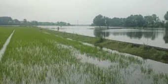 سیلاب کا پانی تو کم ہوا، قر ض سے دیارہ کے کسان پریشان