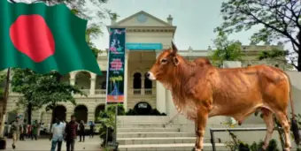 धार्मिक उन्मादाची दुष्फळे