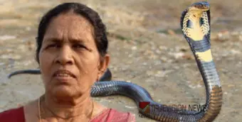 തളിപ്പറമ്പില്‍ പാമ്പുകടിയേറ്റ് ചികിത്സയിലായിരുന്ന വീട്ടമ്മ മരിച്ചു