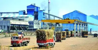 दुष्काळात चारा उपलब्धतेसाठी साखर कारखान्यांनी सहकार्य करण्याचे आवाहन !