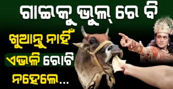 ଗାଈକୁ ଭୁଲରେ ବି ଖୁଆନ୍ତୁ ନାହିଁ ଏମିତି ରୁଟି, ମାଡିଆସେ ଦୁର୍ଭାଗ୍ୟ ! ଜାଣନ୍ତୁ କଣ କୁହନ୍ତି ଭଗବାନ ଶ୍ରୀ କୃଷ୍ଣ