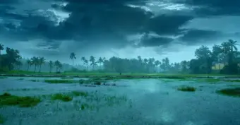 Monsoon updates | पावसाचा किंचित ब्रेक कोकण, मध्य महाराष्ट्रात आज जोरदार पाऊस