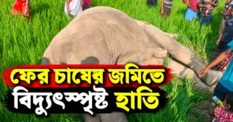একসঙ্গে বুথ রক্ষা হোক: বিজেপিকে রুখতে রেজিনগরের বাম-কংগ্রেসকে আহ্বান কুণালের