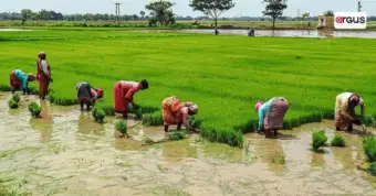 Centre to Launch Nationwide 'Khet Bachao Abhiyan' to Promote Sustainable Farming