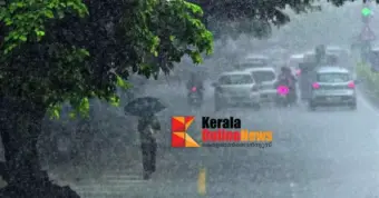 മഴ തുടരുന്നു ; ഇന്ന് മൂന്നു ജില്ലകളില്‍ യെല്ലോ അലേര്‍ട്ട്