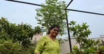 How to Make Moringa Powder at Home From Fresh Leaves