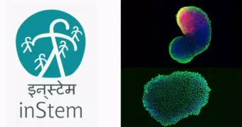 InStem | ವಿವಿಧ ಹುದ್ದೆಗಳಿಗೆ ನೇಮಕಾತಿ ಅಧಿಸೂಚನೆ ಬಿಡುಗಡೆ
