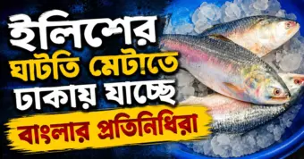 ৭.৭ মাত্রার তীব্র ভূমিকম্প ইন্দোনেশিয়ায়! তোলপাড় সমুদ্রের তলদেশ