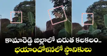కామారెడ్డి జిల్లాలో చిరుత కలకలం.. భయాందోళనలో స్థానికులు
