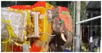 கர்நாடகா தசரா: 650 கிலோ வெள்ளி அம்பாரியுடன் ஓடிய யானை.. அம்மன் தங்க வளையல்கள் மாயம்!