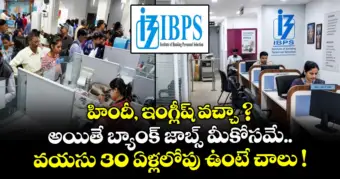 హిందీ, ఇంగ్లీష్ వచ్చా ? అయితే బ్యాంక్ జాబ్స్ మీకోసమే.. వయసు 30 ఏళ్లలోపు ఉంటే చాలు !