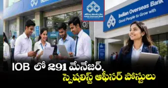 గుడ్‌న్యూస్: IOB  లో 291 మేనేజర్, స్పెషలిస్ట్ ఆఫీసర్ పోస్టులు