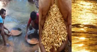 ಹಣ ಕೊಟ್ಟು ಖರೀದಿಸುವ ಅಗತ್ಯವೇ ಇಲ್ಲ.. ಭಾರತದ ಈ ನದಿಯ ನೀರಿನಲ್ಲಿ ಹರಿಯುತ್ತೆ ಶುದ್ದ ಚಿನ್ನ! ಎಲ್ಲಿ ಗೊತ್ತಾ?