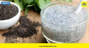 Basil Seeds: वजन कमी करायचंय? मग आहारात आजच करा 'या' बियांचा समावेश; मिळतील 'हे' जबरदस्त फायदे