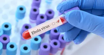 DRC's Ebola outbreak has the potential to become a global pandemic. How to make sure it doesn't