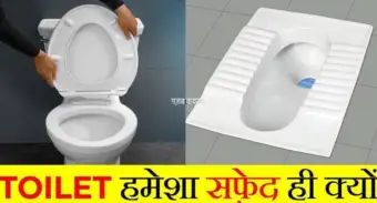 पोटी वाली​​​​​​ कमोड सफेद रंग की ही क्यों होती है? लाल या नीली क्यों नहीं होती? वजह जान लगेगा झटका
