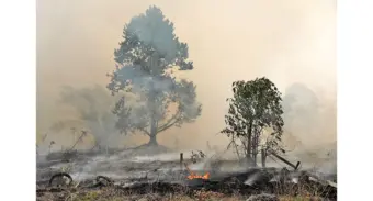 Indonesia wildfire chars 900 hectares of Bromo parkFire mostly contained as crews battle remaining hot spots; wider dry-season blaze burns 48,900 hectares