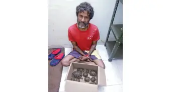13 Star Tortoise hatchlings seized, man arrestedThe hatchlings were found during raids in Shahpur; accused sent to two-day remand