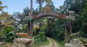 Arunachal: Namdapha Tiger Reserve employees threaten work stoppage over six months' unpaid wages