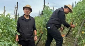 Mizoram: First 'Pluck & Pay' Festival opens in Khawzawl, promoting community-led tourism