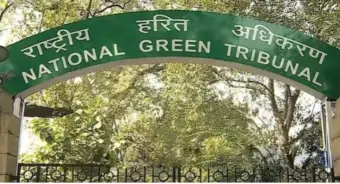Nagaland: NGT petition seeks fresh technical, ecological assessment of proposed Chiethu Greenfield airport
