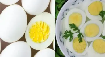 Egg Recipes : वजन व्यवस्थापनासाठी तेलविरहित 5 अंड्यांच्या रेसिपी; प्रोटीनसोबत चवीतही तडजोड नको