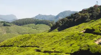 വീണ്ടും വിചിത്ര ഉത്തരവുമായി ഇടുക്കി ജില്ലാ കളക്ടര്‍; വനത്തോട് ചേര്‍ന്ന തോട്ടം മേഖലയില്‍ രാത്രി സഞ്ചാരത്തിന് കര്‍ശന നിയന്ത്രണം