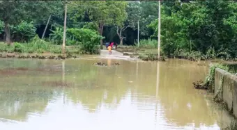 କପାଳୀ ନଦୀରେ ଜଳ ସ୍ତର ବୃଦ୍ଧି, ଧୋଇଯାଉଛି ଗାଁ ରାସ୍ତା