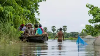 India: Bihar Pays Rs 112 Crore in Flood Relief to Nearly 2.5 Lakh Farmers