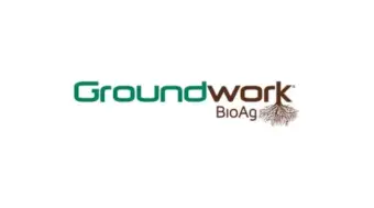 Groundwork BioAg Secures 'BBB' BeZero Carbon Rating for Rootella Carbon Programme