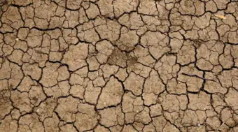 Maharashtra's Early Monsoon Exit Confirms Drought Across 265 Talukas