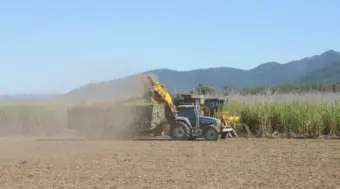 Indian Farmers' Organisation Demands Sugarcane Price of Rs 575 per Quintal, Seeks Changes to Government Committee