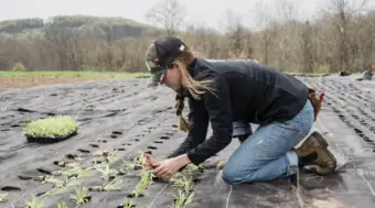 Global Food System Pressures Could Widen Gender Gap by 2050, CGIAR Report Finds