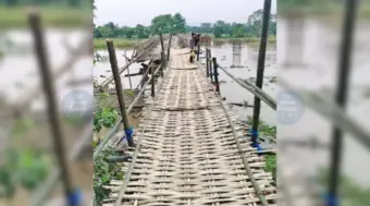 Villagers Build Bamboo Bridge to Enhance Connectivity in Majuli District