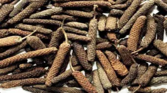 बुखार उतारने में बहुत प्रभावी है यह आयुर्वेदिक औषधि, जल्दी पढ़िए?