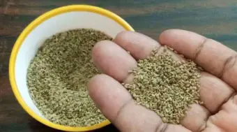 కేవలం పావు స్పూన్ చాలు.. గ్యాస్, ఎసిడిటీ, మలబద్ధకం సమస్యలు ఇట్టే మాయం!