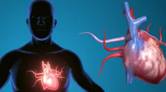 AI Detects Hidden Heart Disease from ECGs in Under Two Seconds