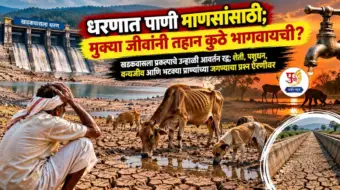 धरणात पाणी माणसांसाठी; मुक्या जीवांनी तहान कुठे भागवायची? खडकवासला प्रकल्पाचे उन्हाळी आवर्तन रद्द; शेती, पशुधन, वन्यजीव आणि भटक्या प्राण्यांच्या जगण्याचा प्रश्न ऐरणीवर