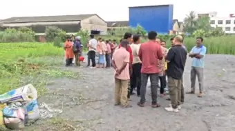 ছাই দিয়ে পুকুর ভরাটের অভিযোগ, শিকম কলেজ সংলগ্ন এলাকায় প্রতিবাদে পরিবেশপ্রেমীরা।