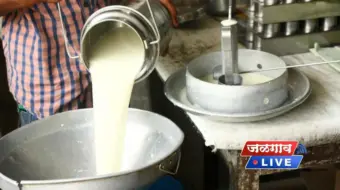 महागाईचा आणखी एक झटका! महाराष्ट्रात दूध 'इतक्या' रुपयांनी महागणार?