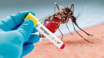 Manipur's Churachandpur reports 3,713 dengue cases since April, four confirmed deaths