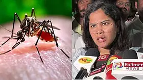 "டெங்கு அதிகரிக்க தவெக காரணம்" - மேயர் பிரியா குற்றச்சாட்டு!!