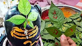 ಬಿಲ್ವಪತ್ರೆ