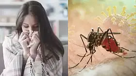 தமிழ்நாட்டில் அதிகரிக்கும் டெங்கு பாதிப்பு.. ஒரே நாளில் 332 பேருக்கு டெங்கு உறுதி!
