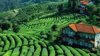 Ooty roads closed, travel banned to Nilgiris; Authorities with new move