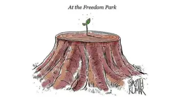 DH Toon | At Freedom Park
